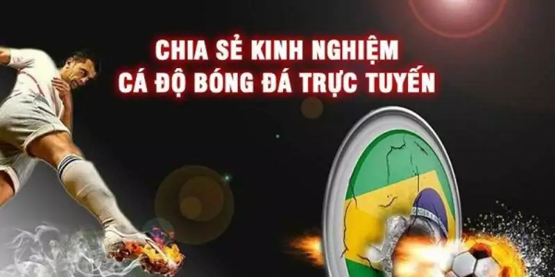 Cá Cược Bóng Đá KUBET77 - Trải Nghiệm Dịch Vụ Siêu Cuốn