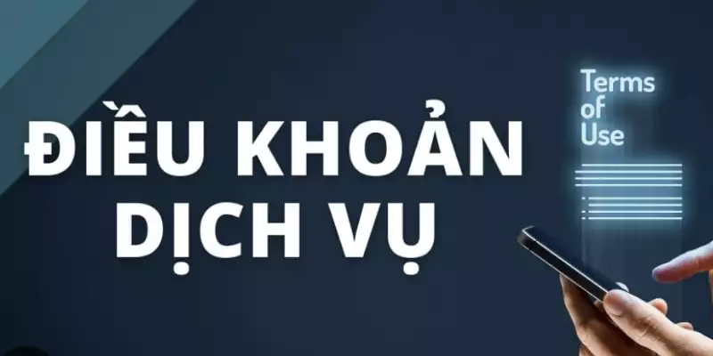 Một số chính sách về quyền lợi người dùng