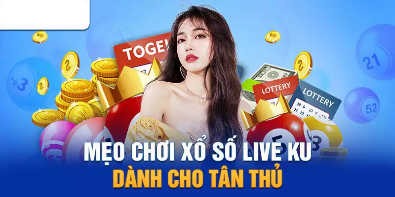 Khám phá bí quyết để trở thành chuyên gia trong lĩnh vực